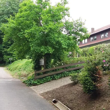 Hotel Forsthaus Alter Foerster 2*