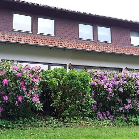 Forsthaus Alter Foerster Hotel 2*