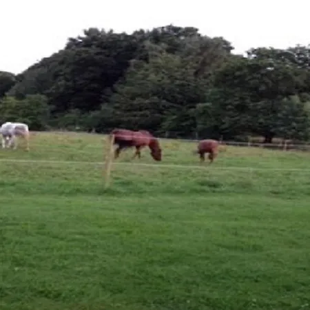 Forsthaus Alter Foerster