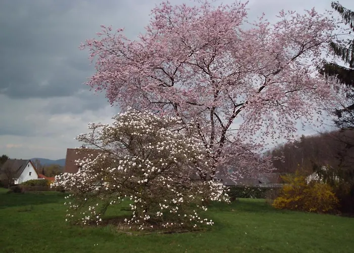 Forsthaus Alter Foerster Bad Oeynhausen