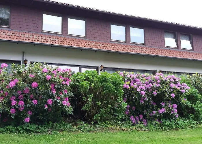 坲斯豪斯阿尔特福斯特酒店 酒店 2*