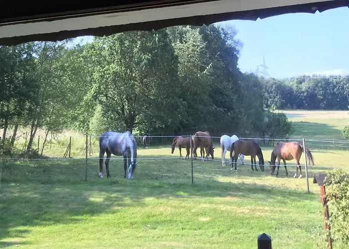 Forsthaus Alter Foerster