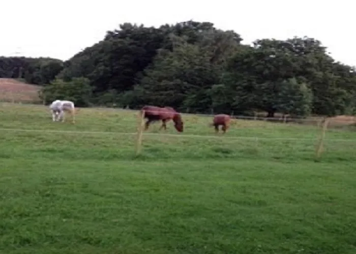 Forsthaus Alter Foerster